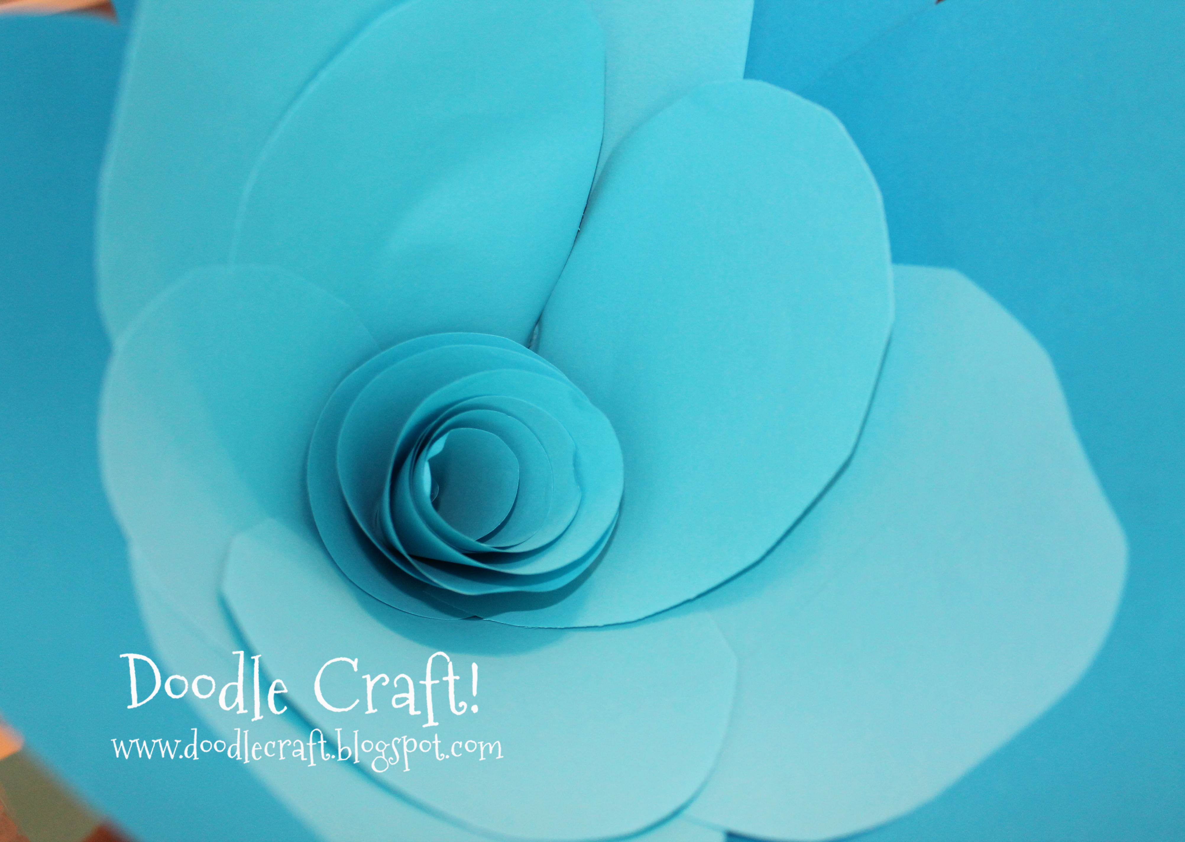 giant paper rosettes.jpg