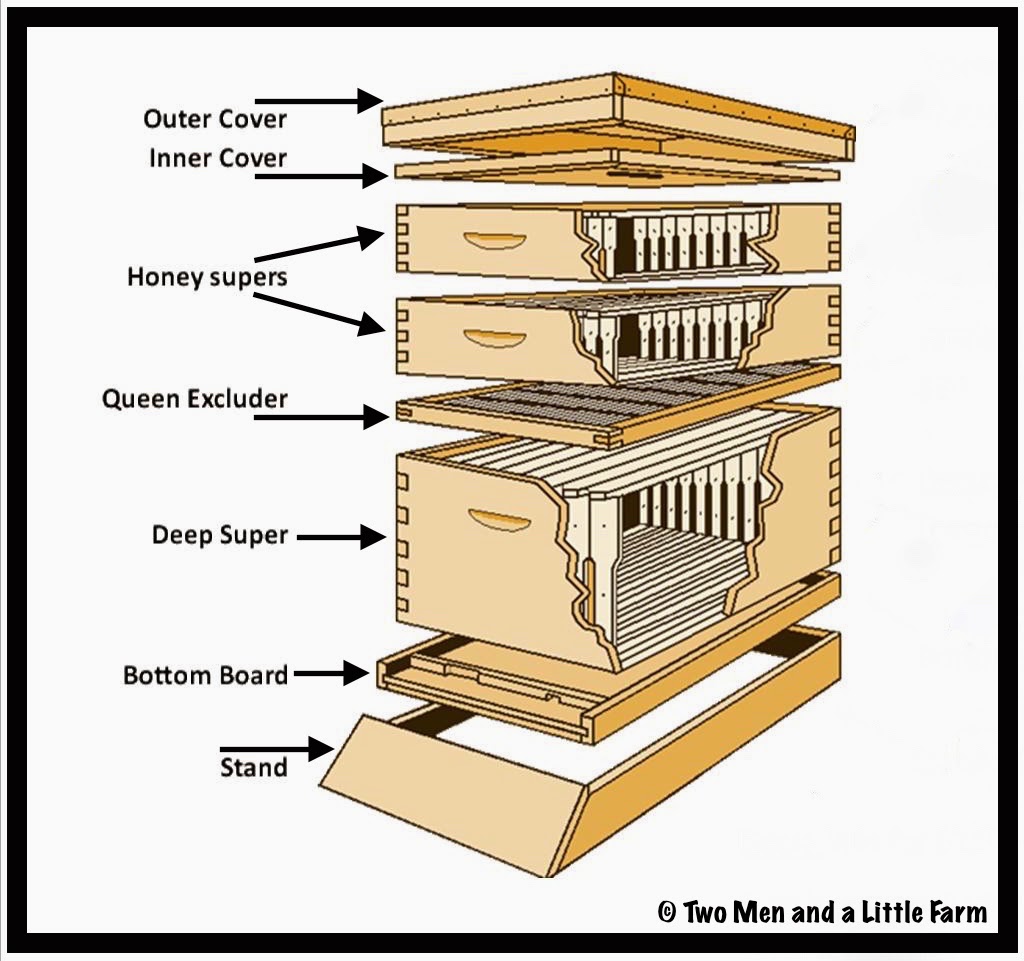 hive_diagram.jpg
