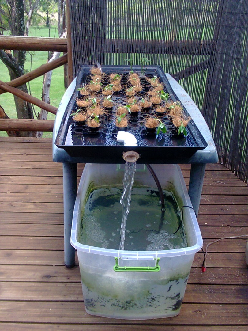 hydro 24 Dec 2014.jpg