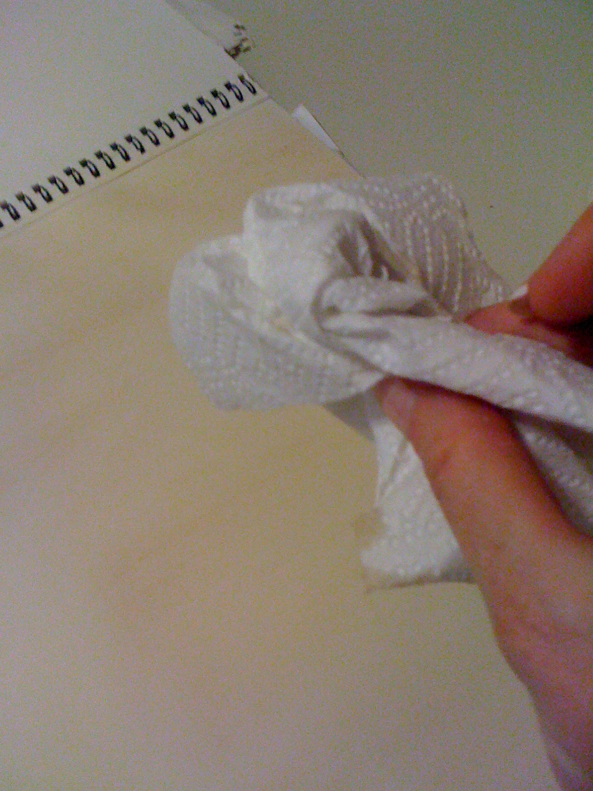 iphone pictures 034.JPG