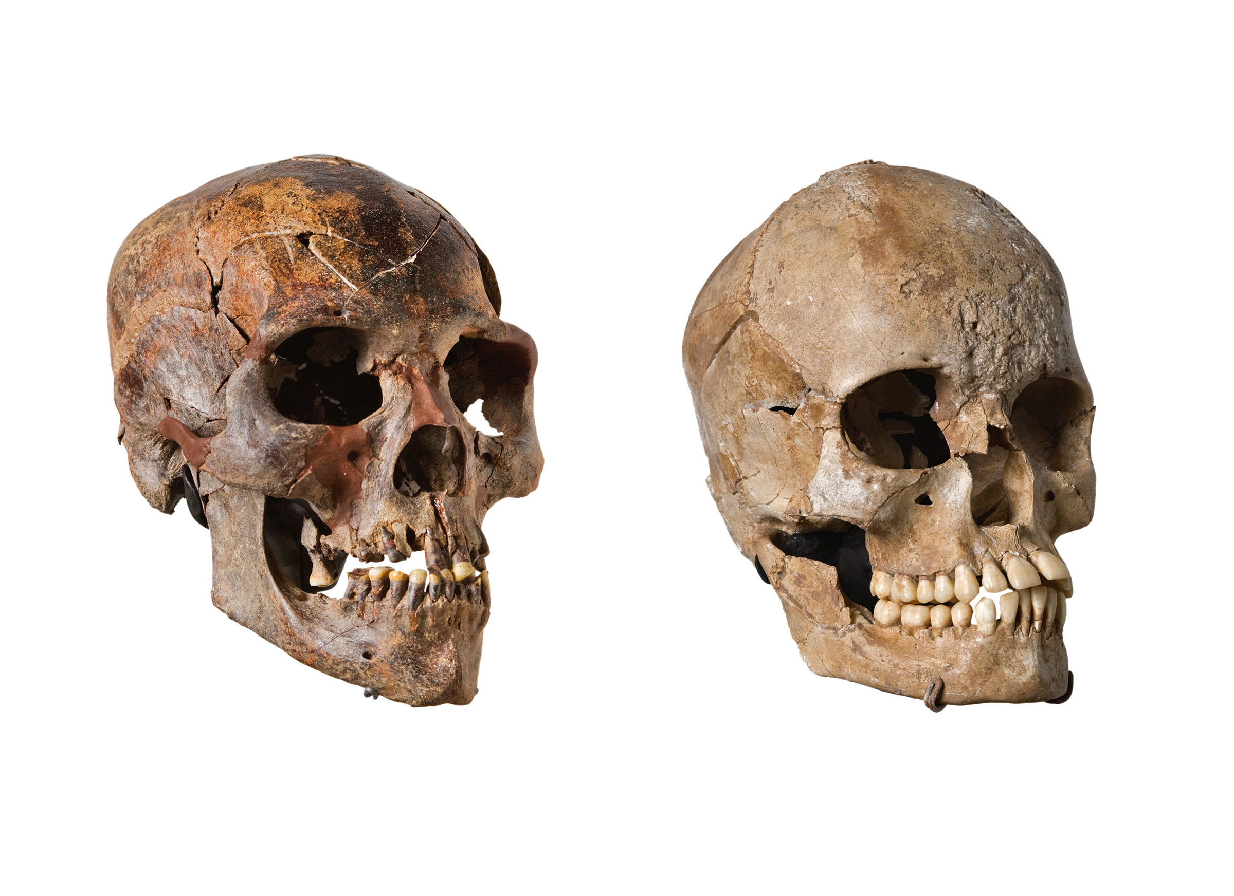 kiffian-versus-tenereian-skulls.jpg