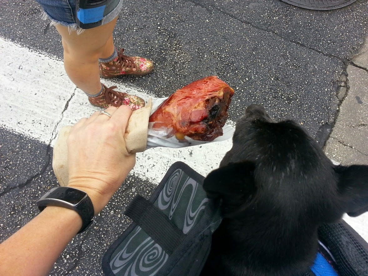 luci eating turkey.jpg