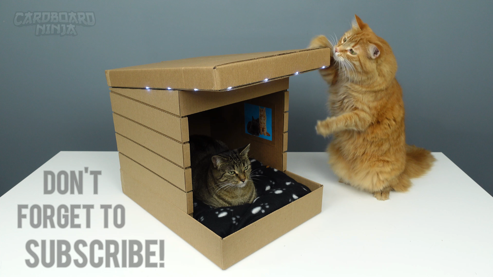 modern_cardboard_cat_house_2V3.png