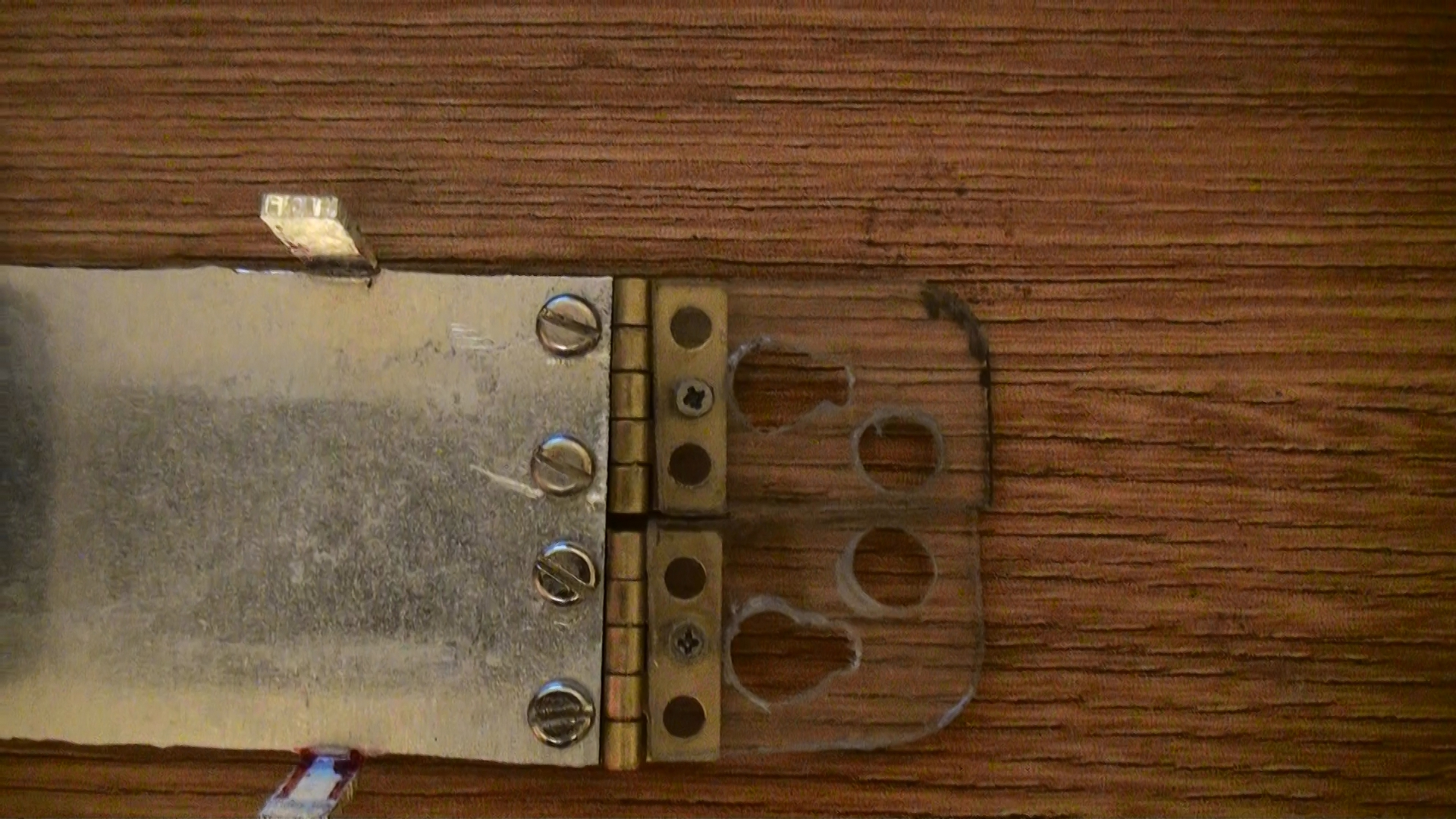 notched polycarb.jpeg