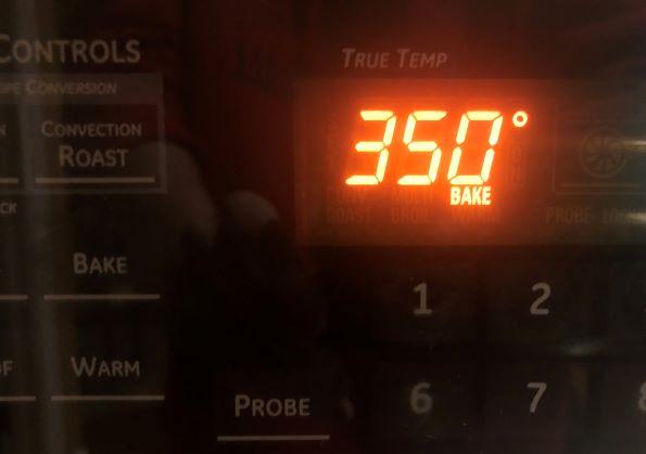 oven temp (2).jpg