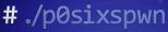 p0sixspwn_logo.jpg