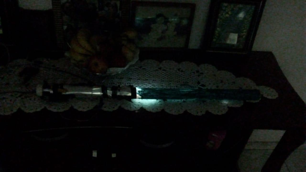 sabre pintado aceso.jpeg