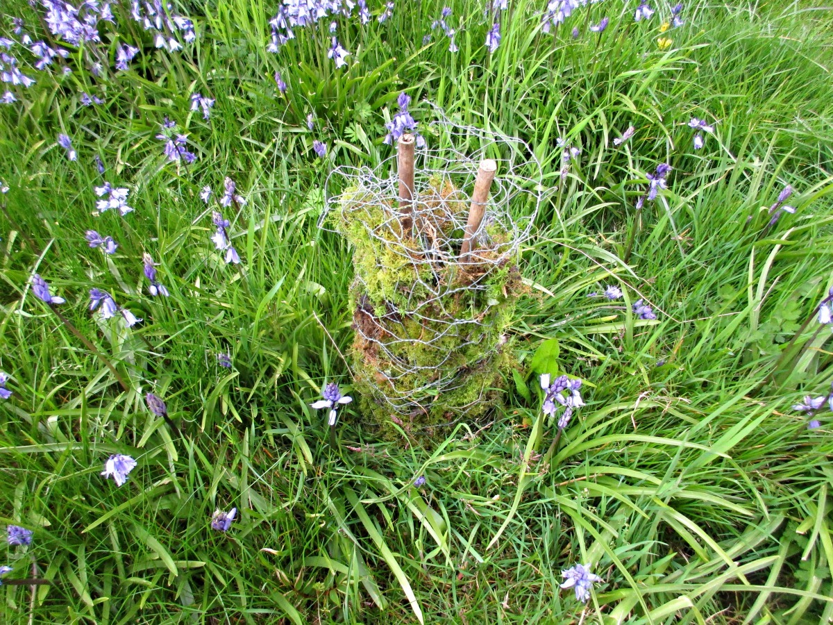 securing moss toadstool stem into ground.jpg