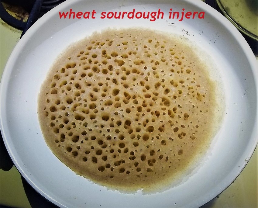 sourdough wheat injera.JPG