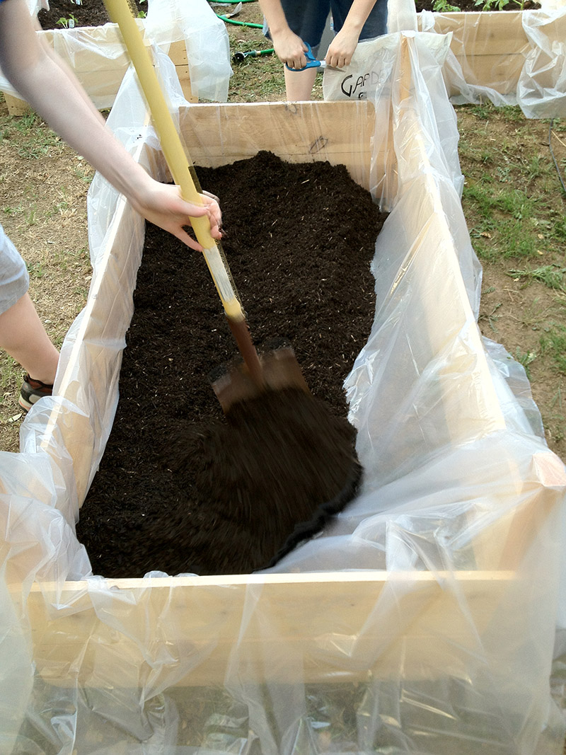 spreading the joy around.jpg