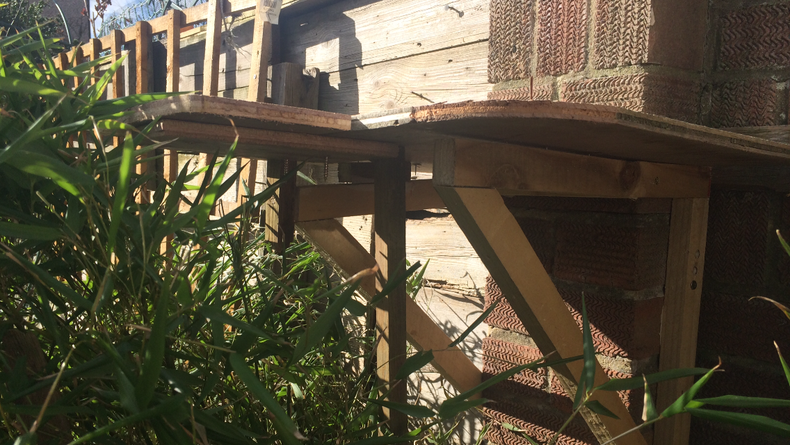 squirrel house 023.PNG