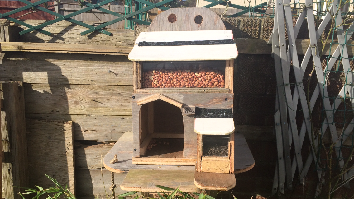 squirrel house 024.PNG