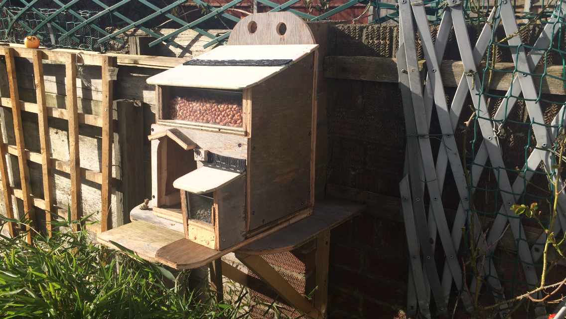 squirrel house 025.PNG