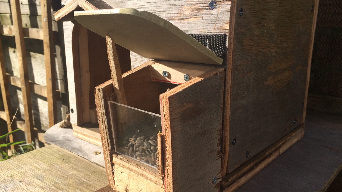 squirrel house 028.PNG