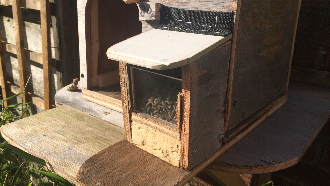 squirrel house 029.PNG
