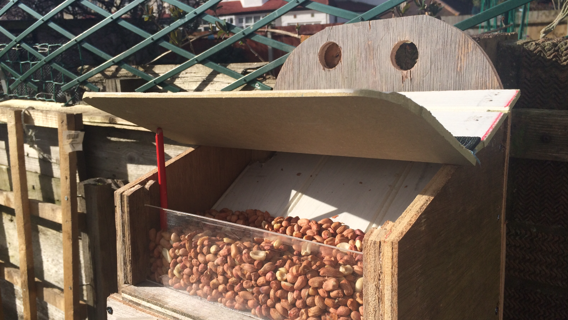 squirrel house 030.PNG