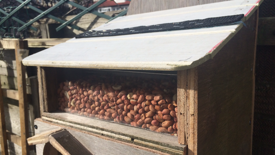 squirrel house 031.PNG