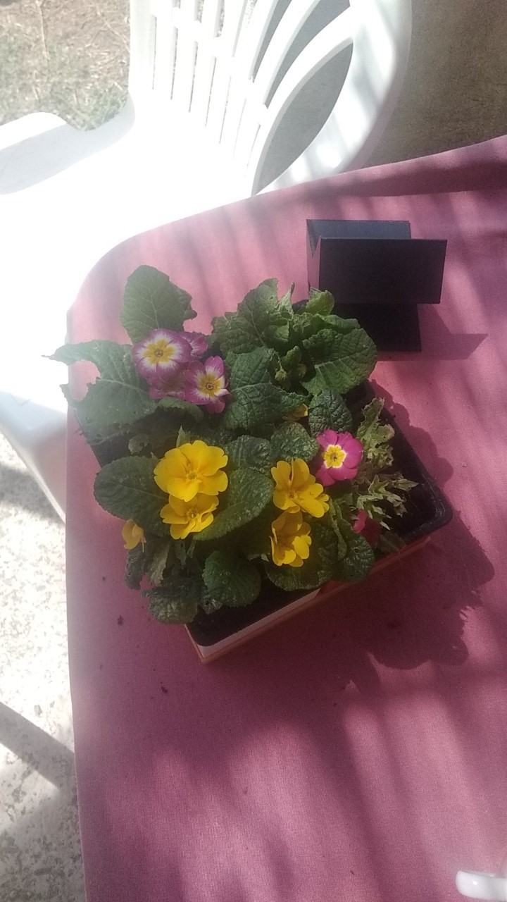 thumbnail_IMG_20200415_134542 (1).jpg