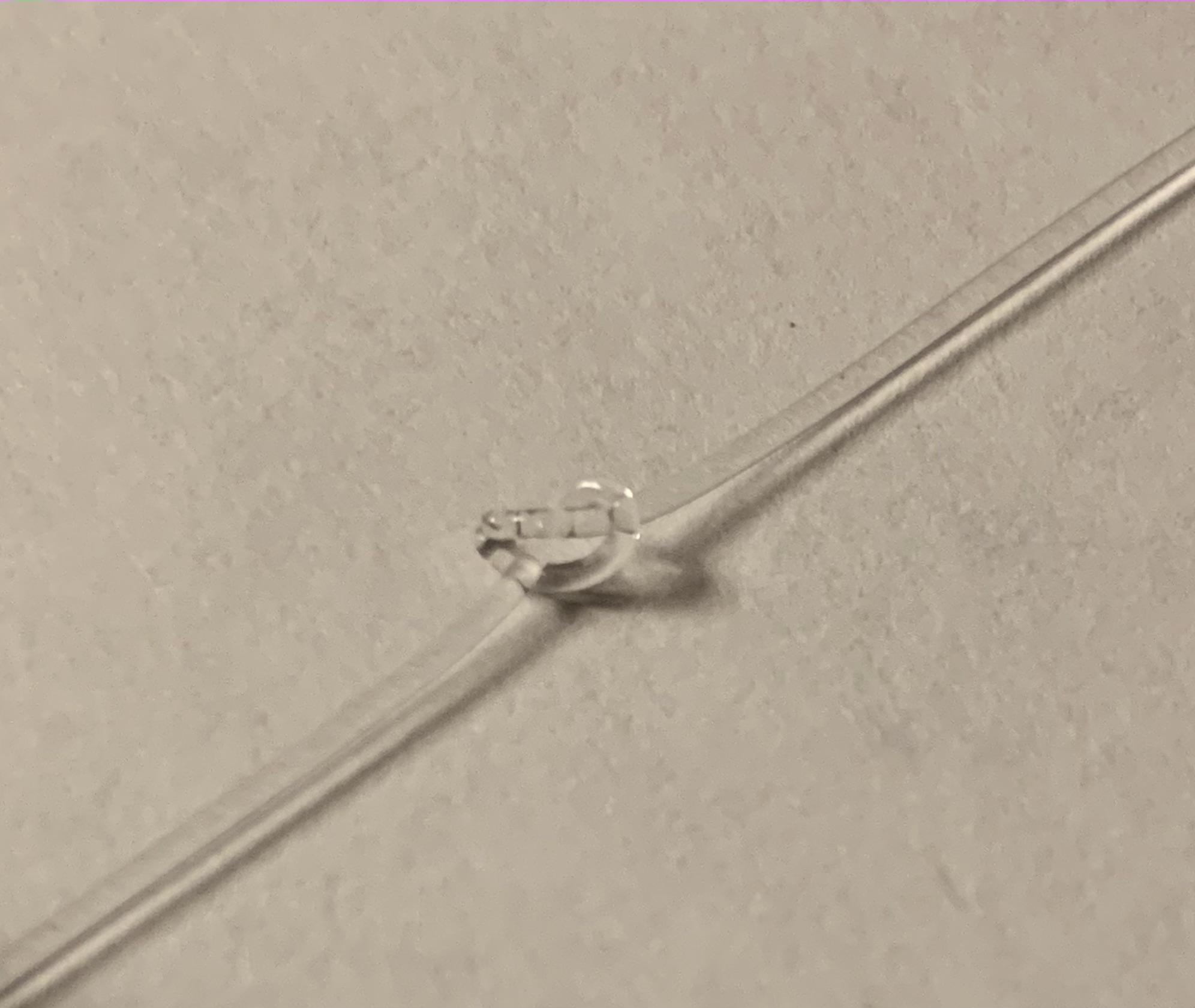 tieing the knot .jpg