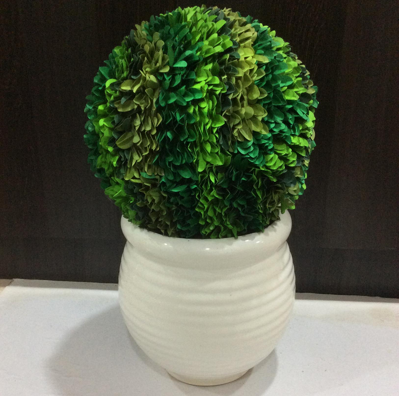 Grass Ball Topiary 