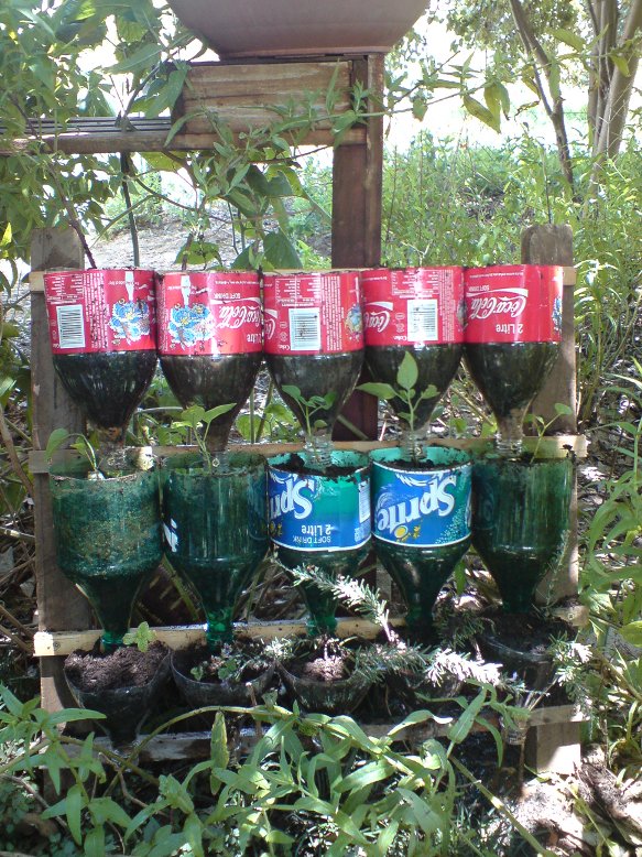 Bottle Herb Garden – a Recycling Project.