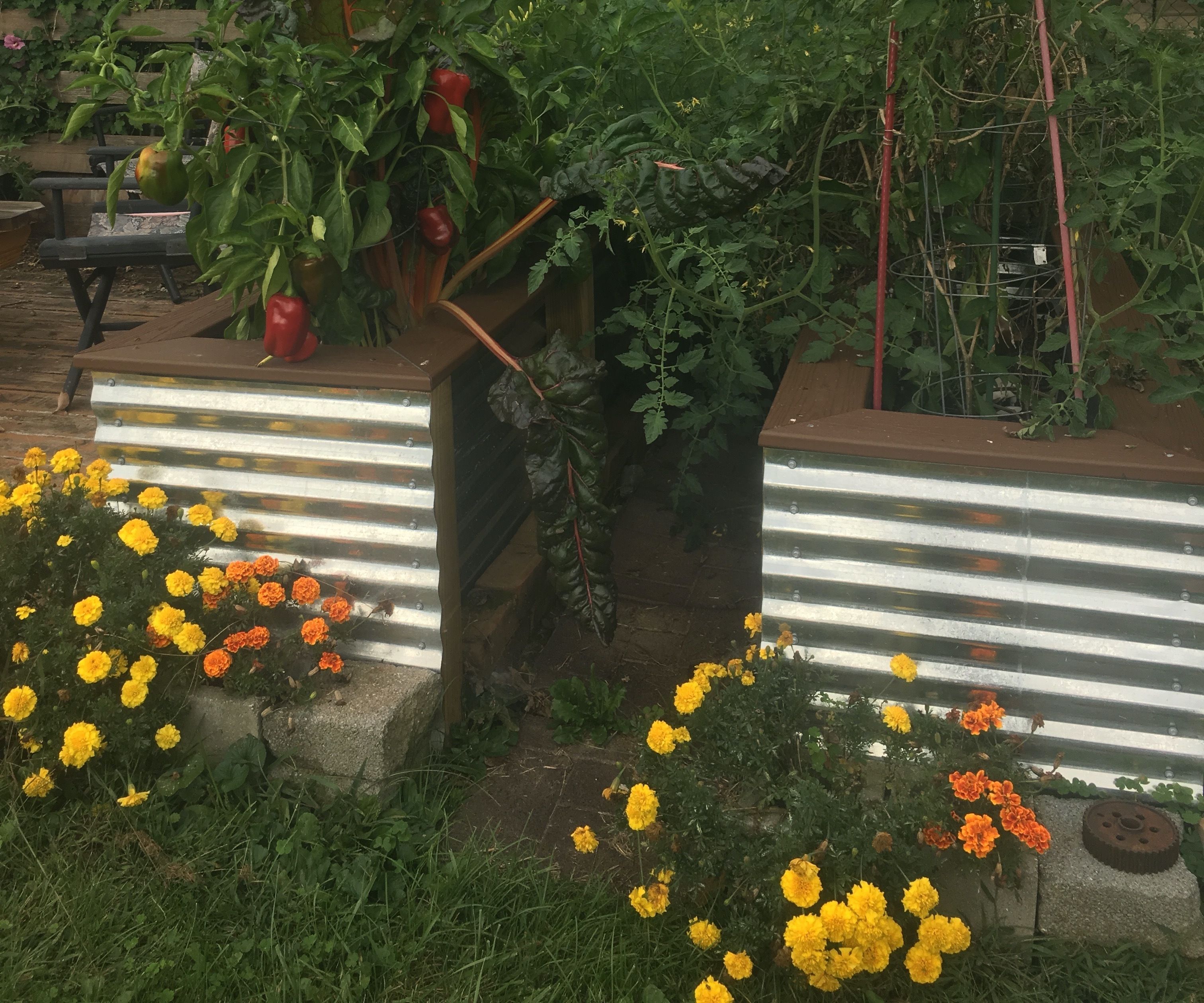 Snazzy and Stylish Steel Raised Garden Beds