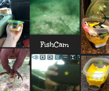 A Fun Project for the Weekend, FishCam!
