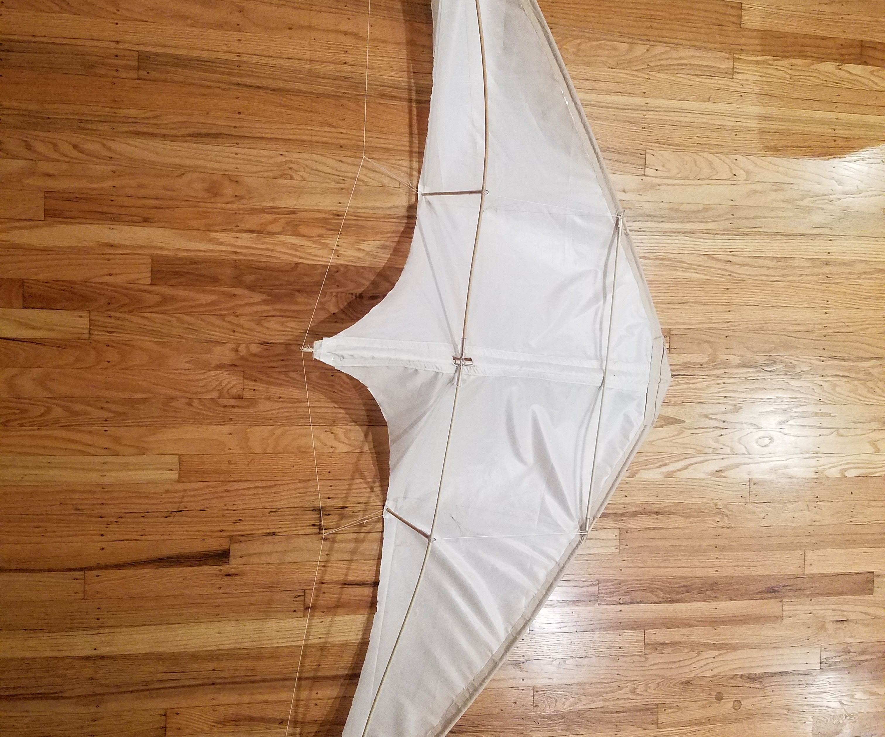 Freestyle Stunt Kite