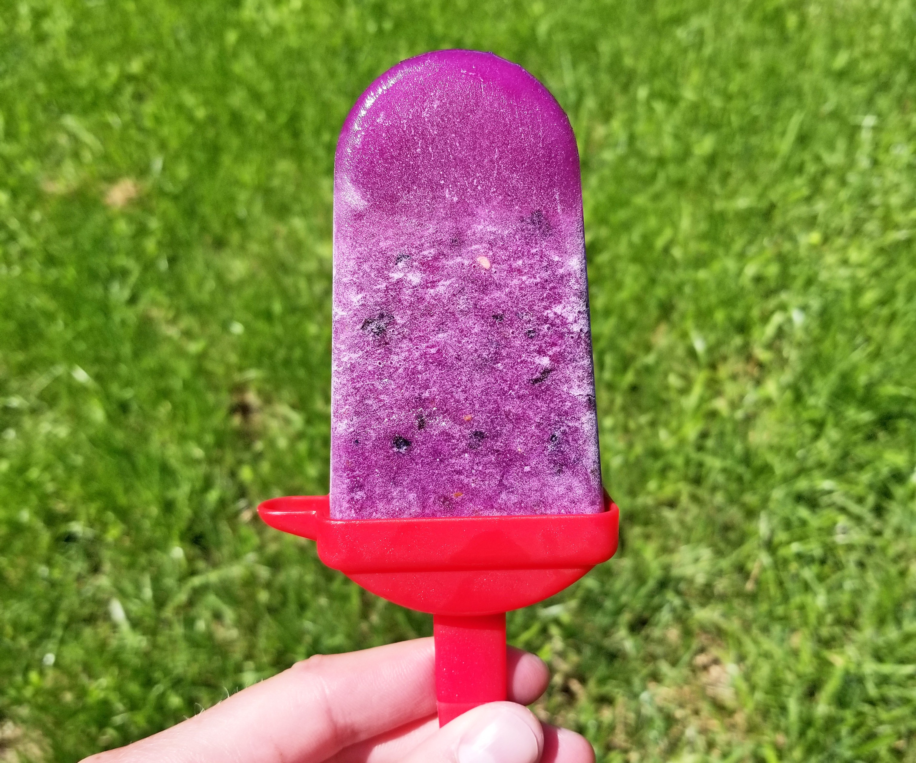 3 Ingredient HEALTHY Popsicles
