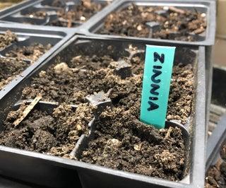 No-Cost Seedling Markers