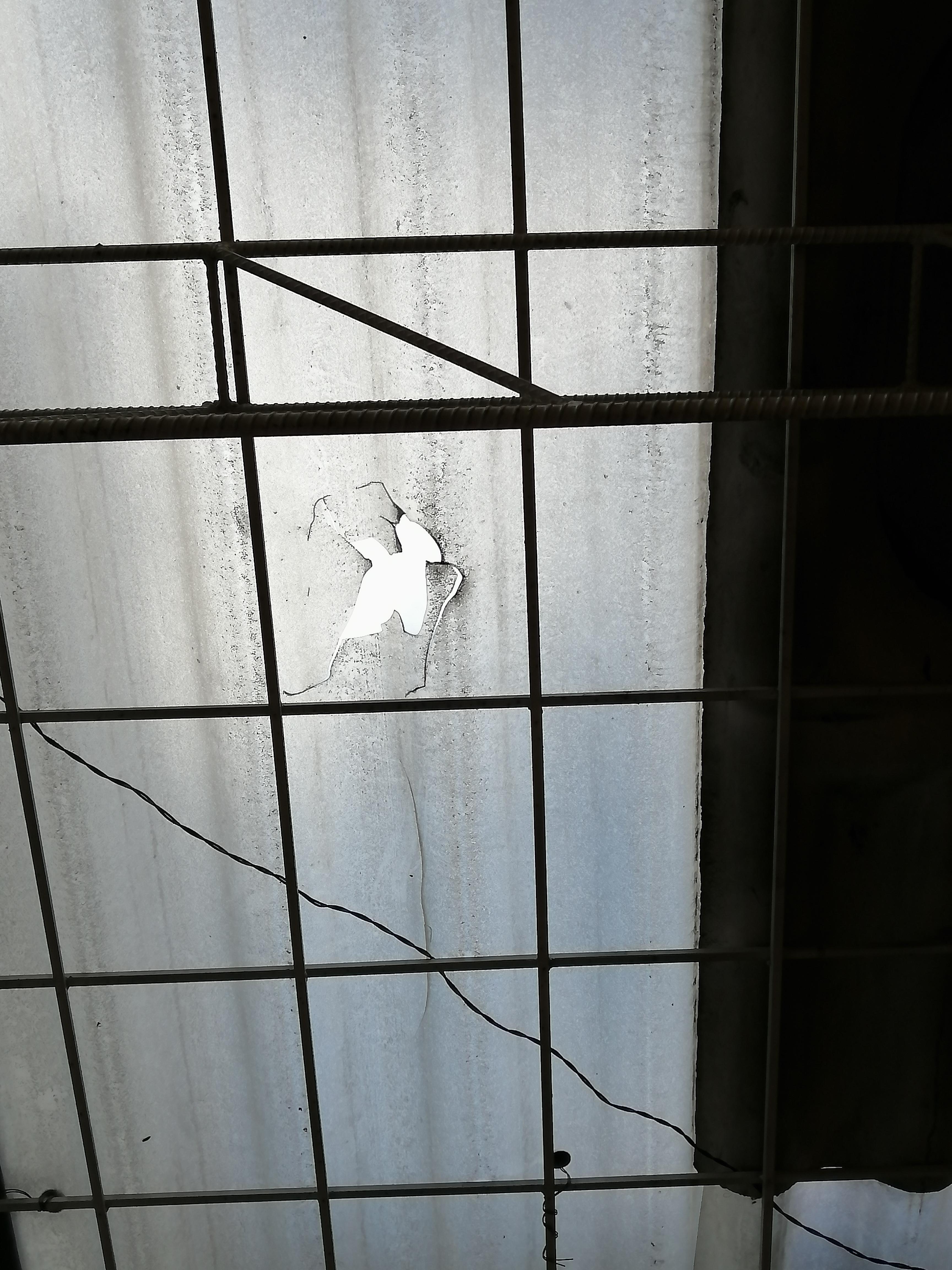 Problemática En Los Tejados 