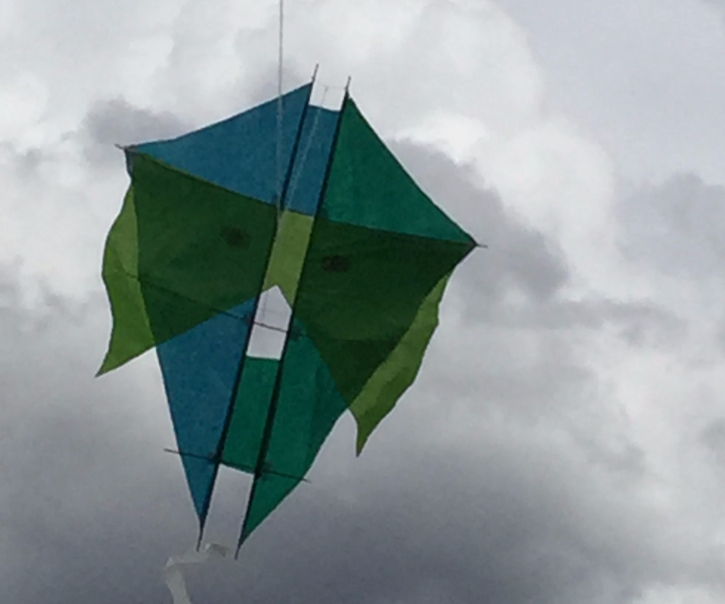 Ninja Modified Barn Door Kite By: Tyler and Tigger