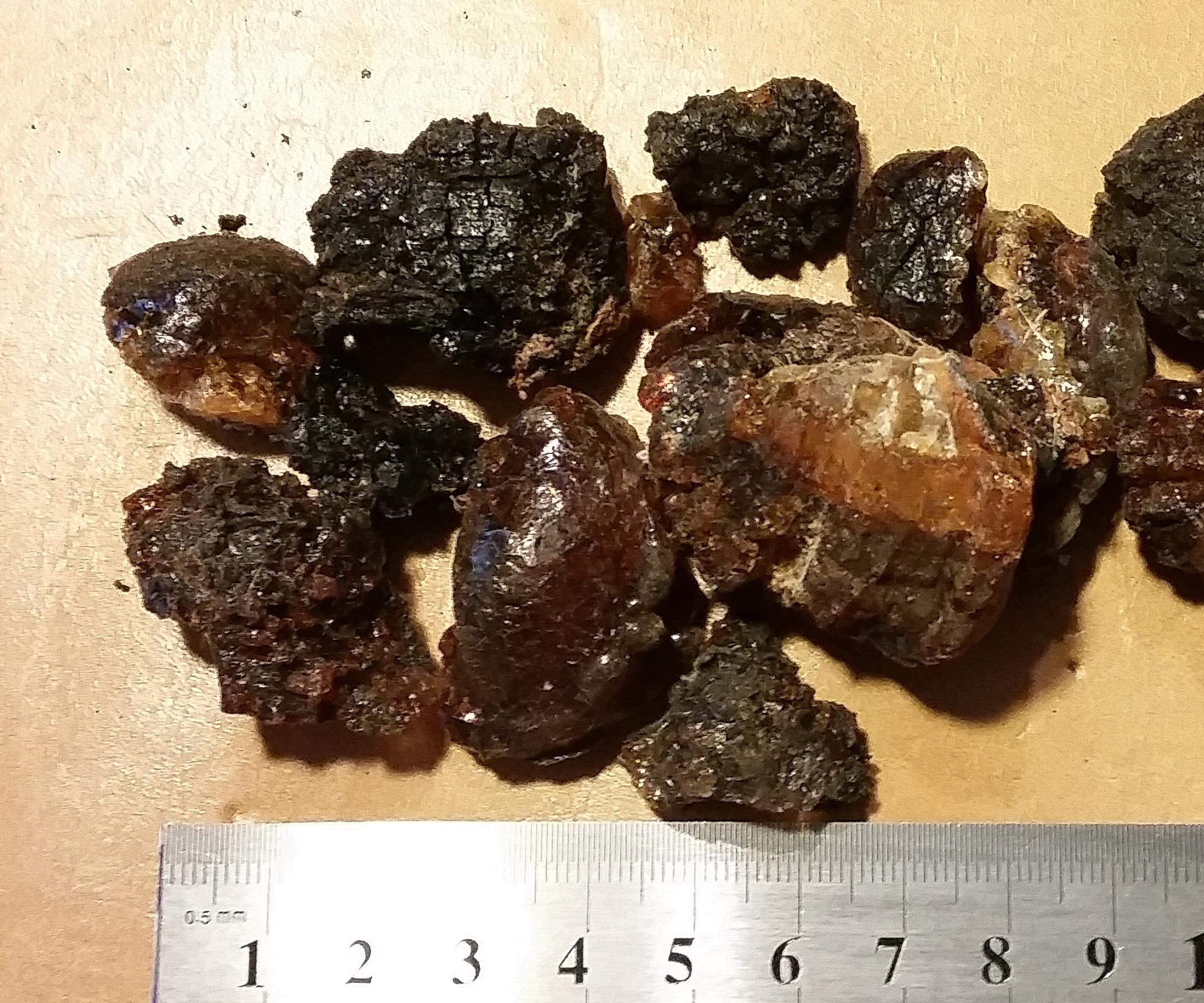 DIY Flower Seed Cards From Cherry Tree Resin Gum (Kirschgummi)