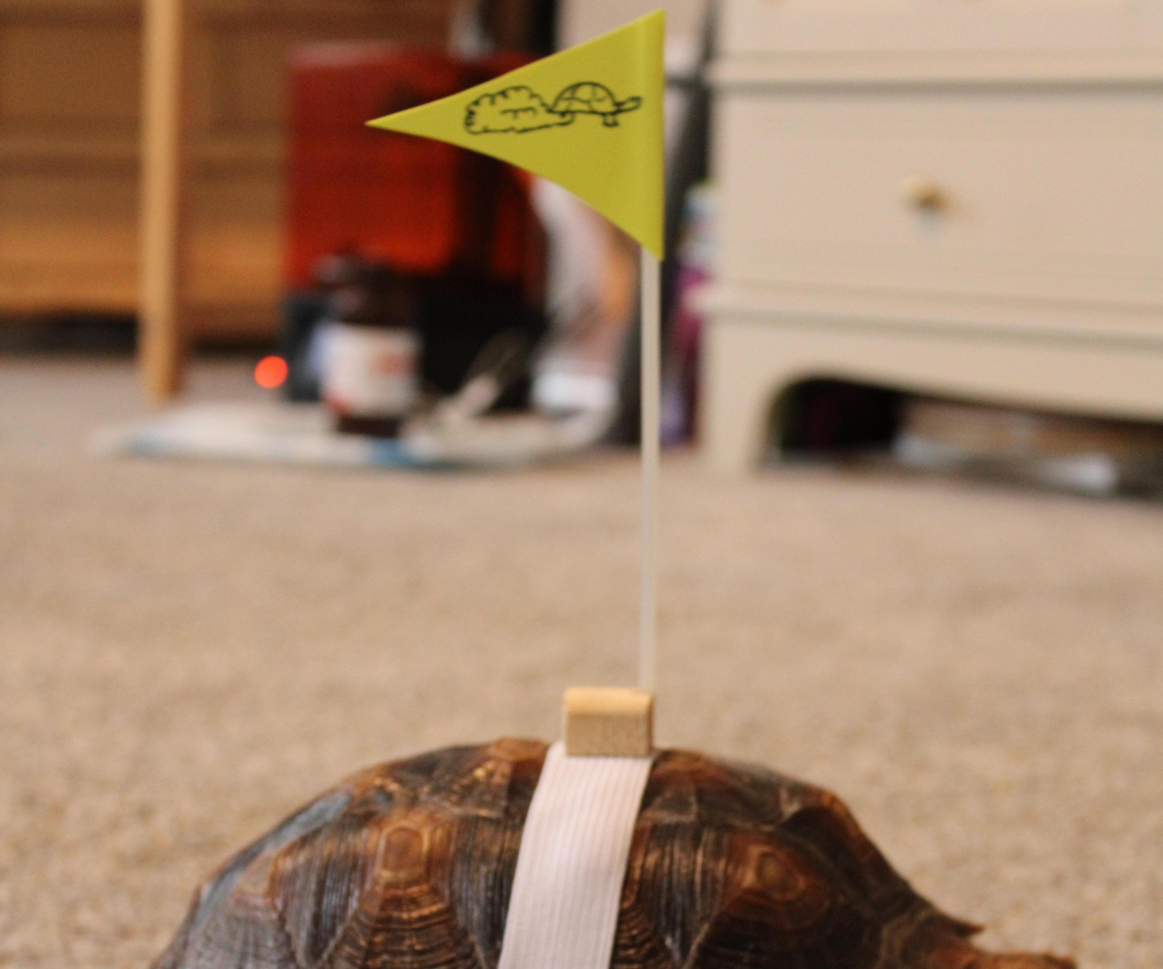 Wandering Tortoise Flag