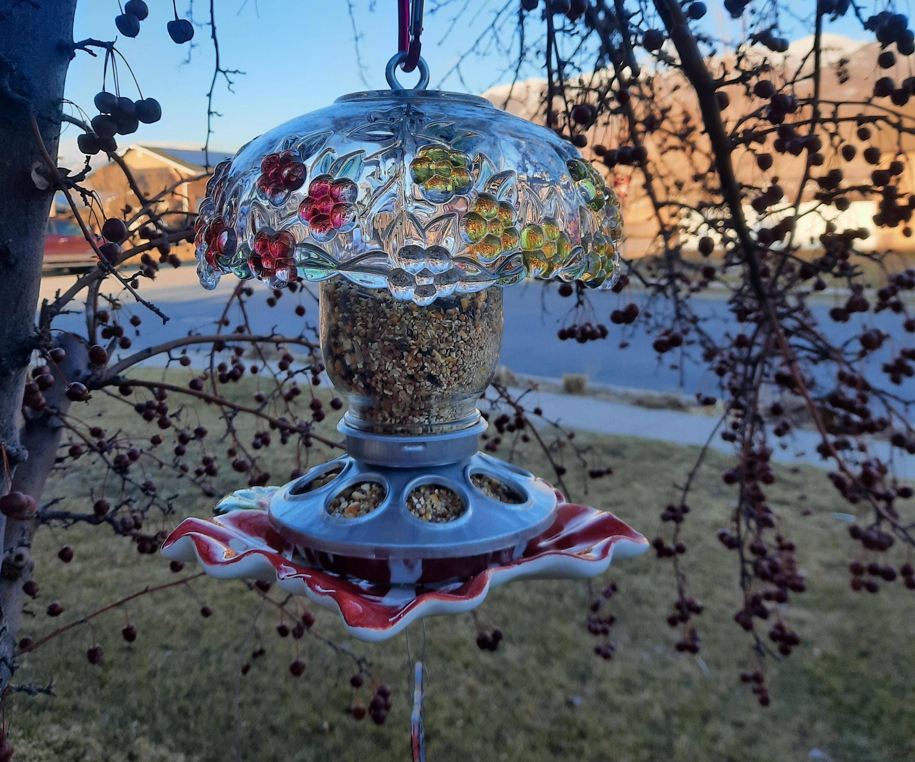 Glass Dish Birdfeeder