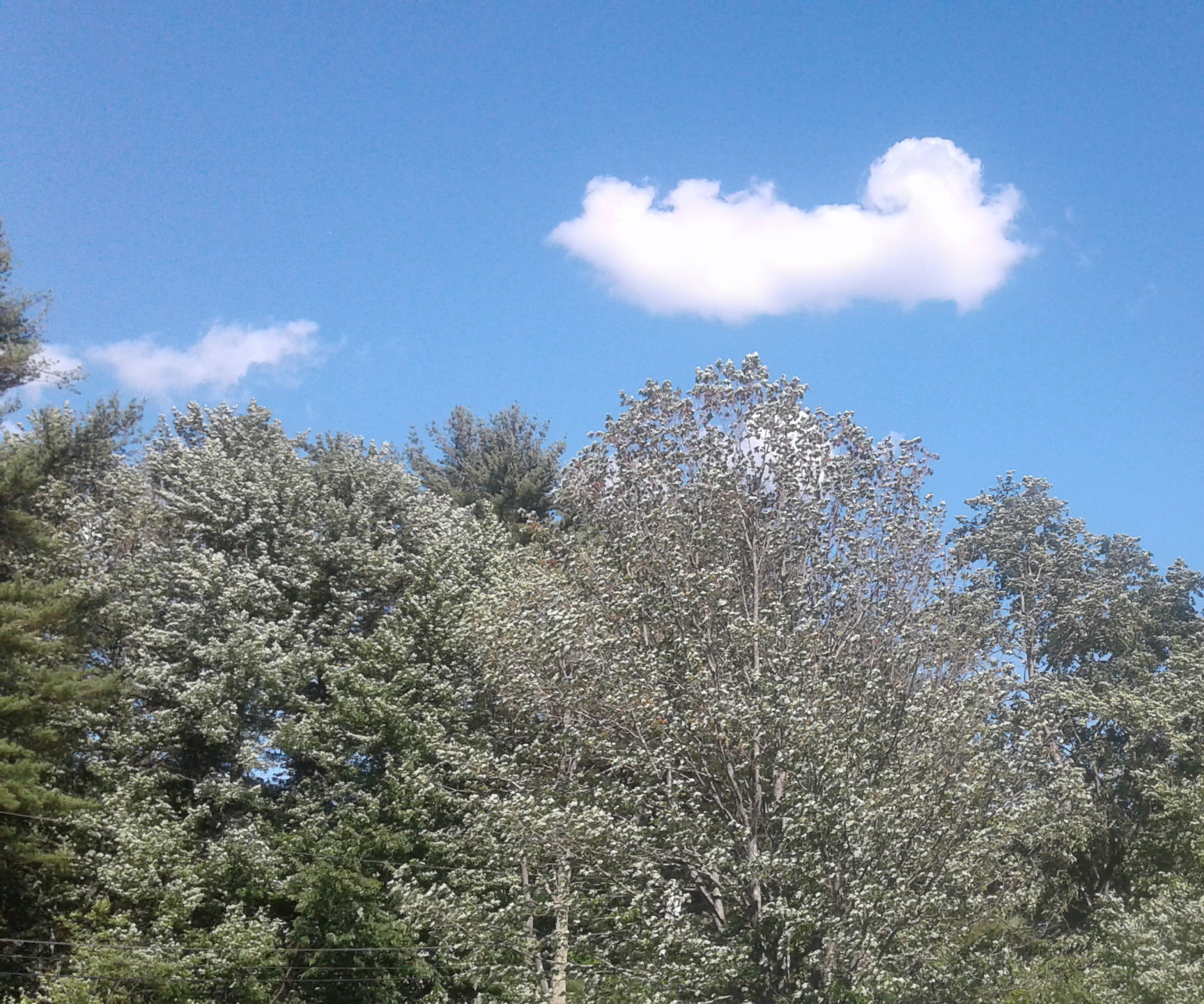 Travel Survival Guide 