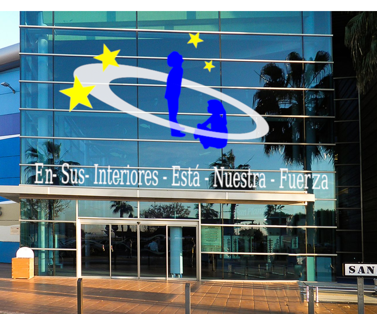 Removable Vinyl Decoration