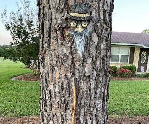 The Ole Man and His Walking Stick