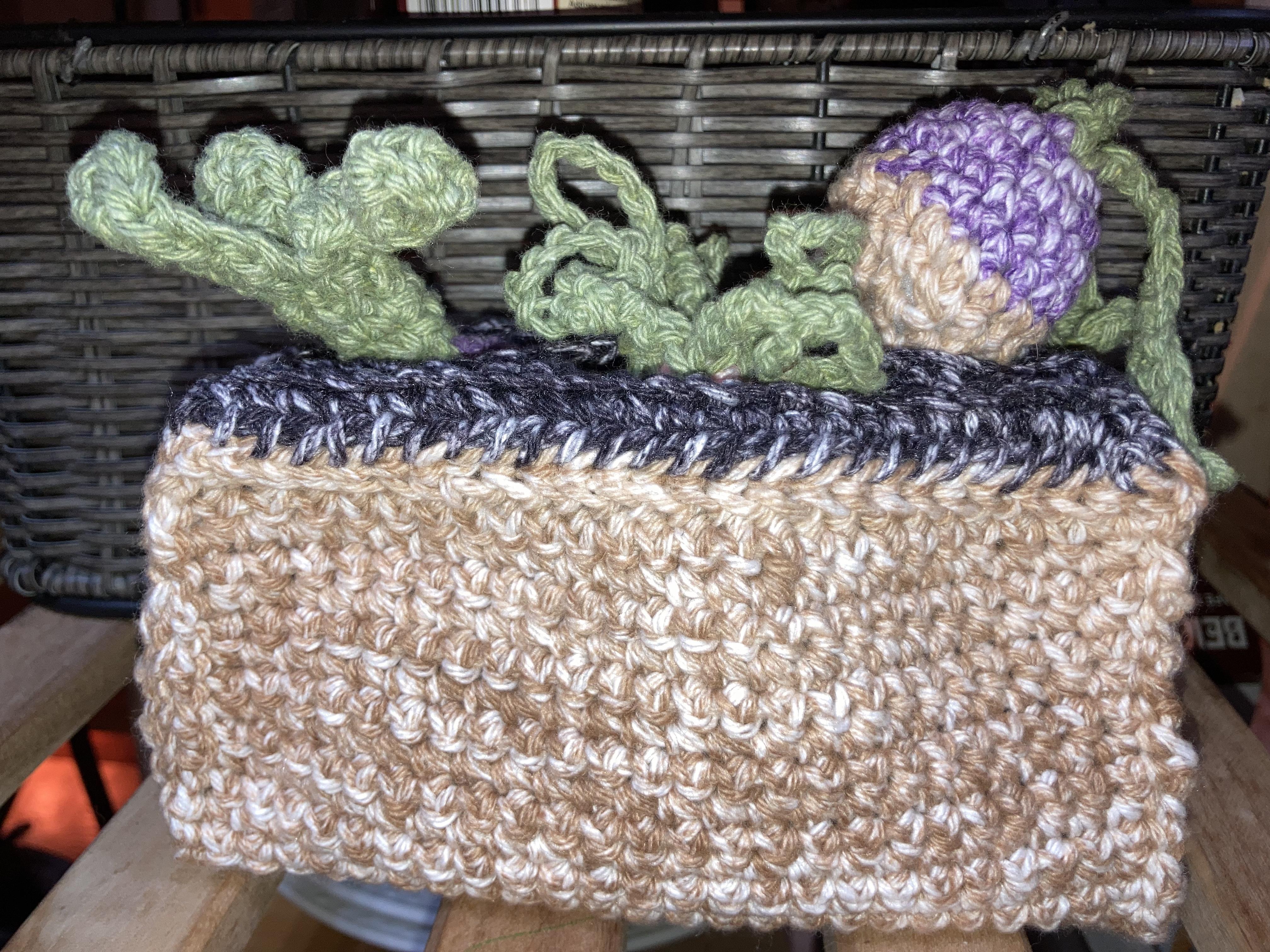 Crochet Planter Box With Plantable Veggies