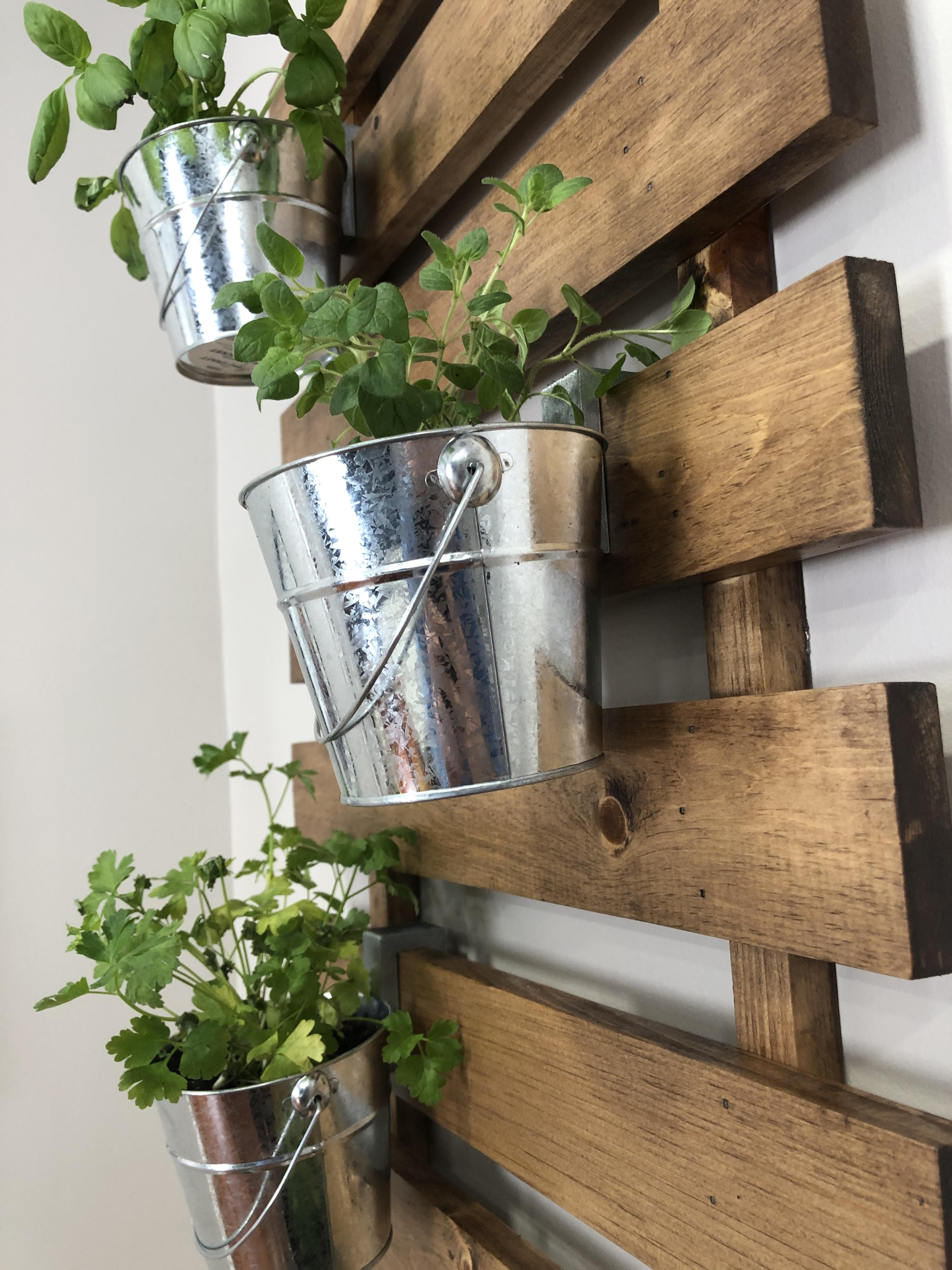 Rustic Wall Planter for $25