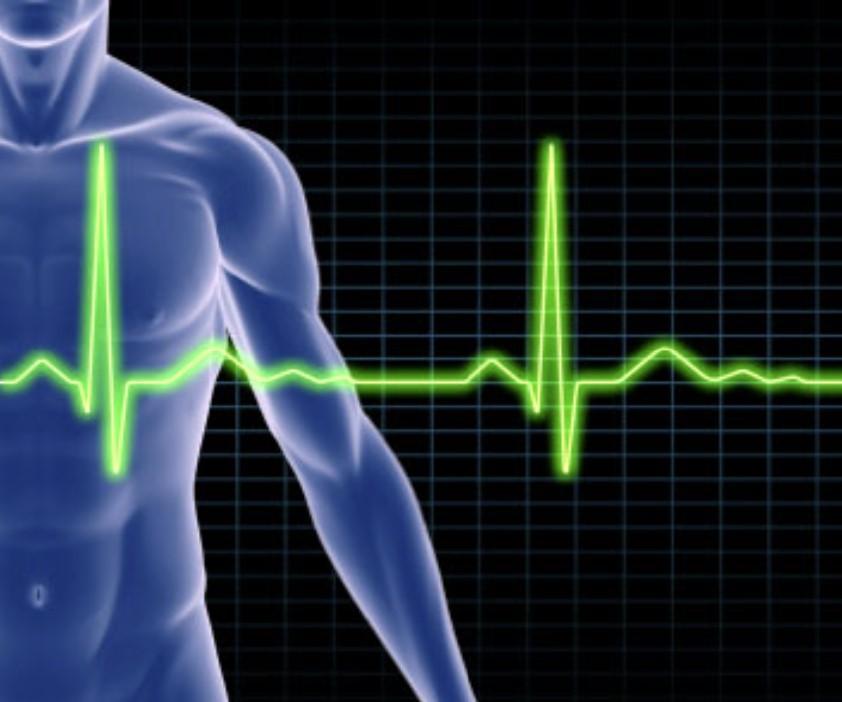 Integrated Human ECG