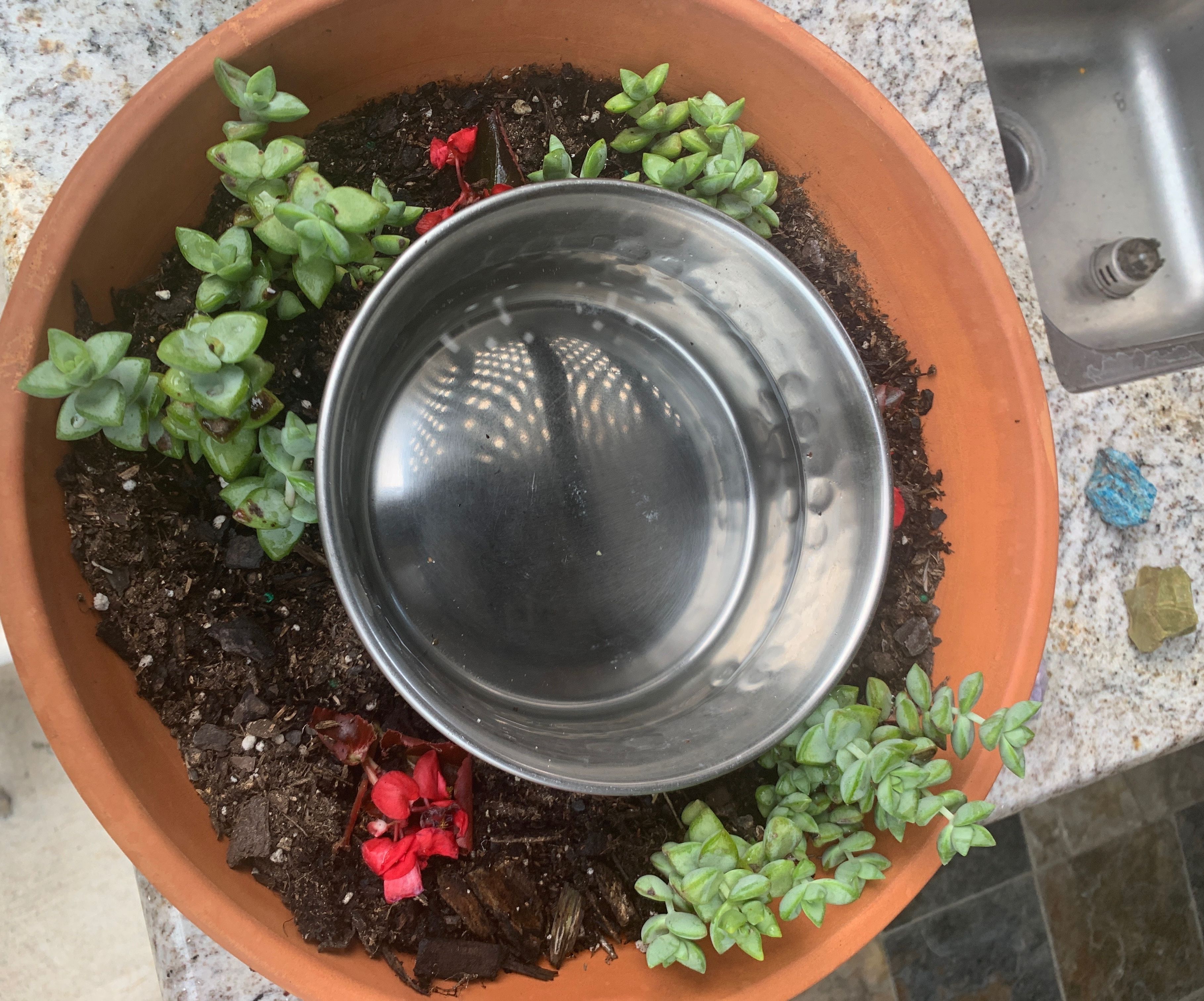 No Mess Dog Water Bowl