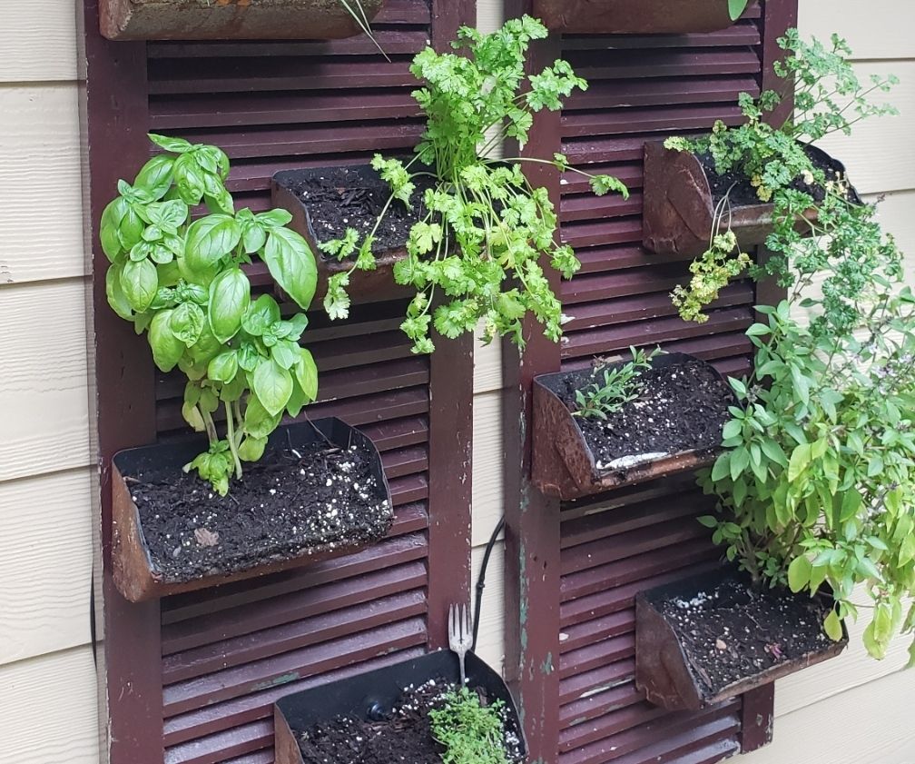 Wall Mount Herb Garden