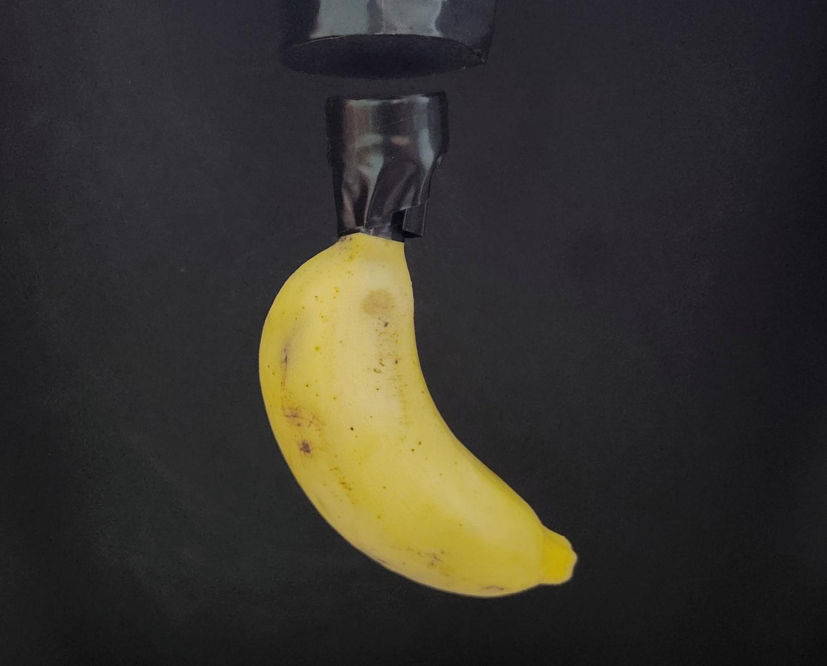 LEVITATING BANANA - Electromagnetic Levitation