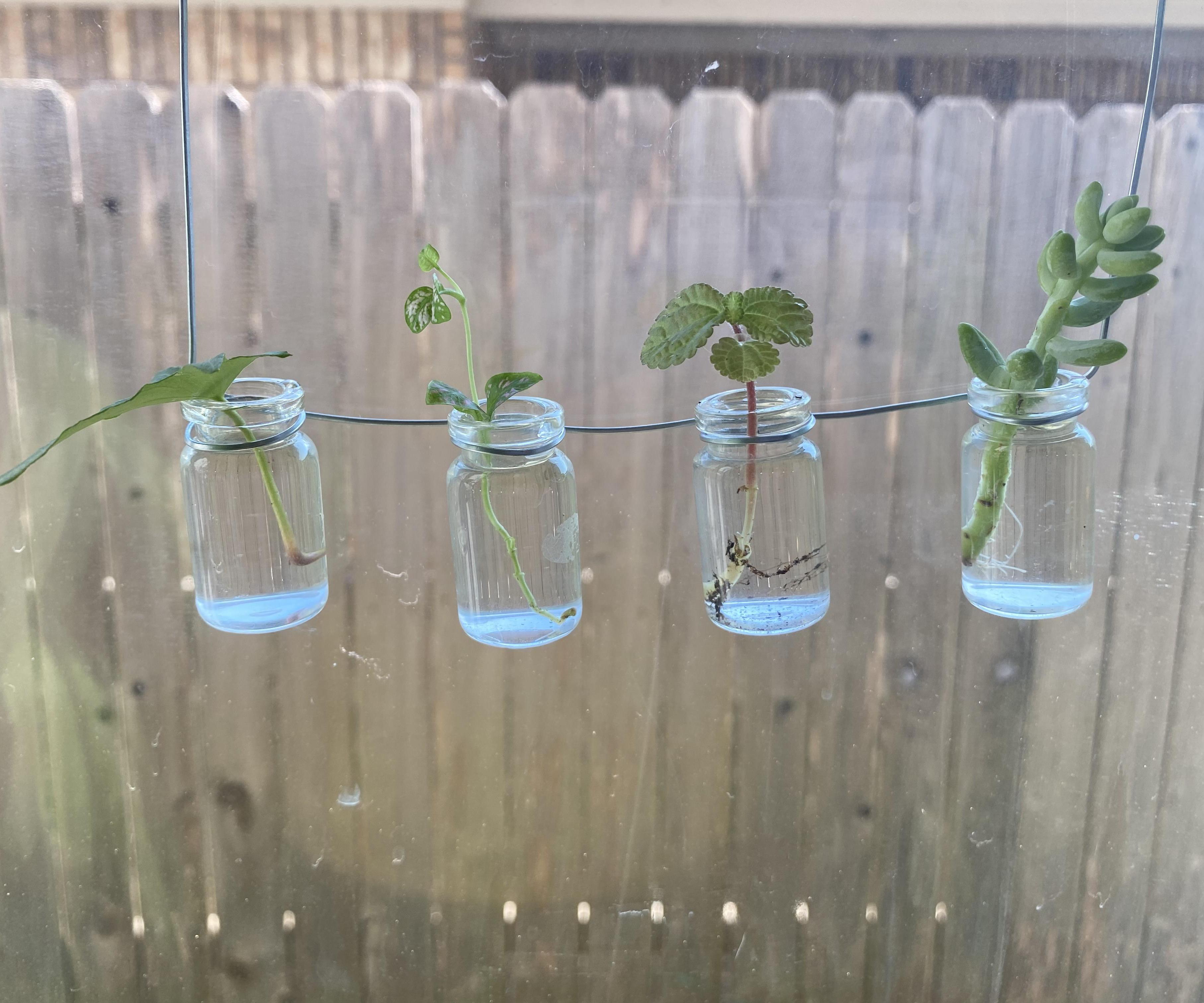Window Propagation Station 