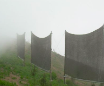 Distilling Fog Net + Distill Your Own Water