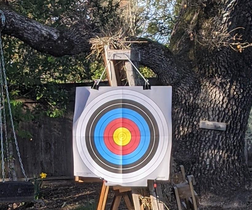 Portable Airsoft Target (Saves BBs)