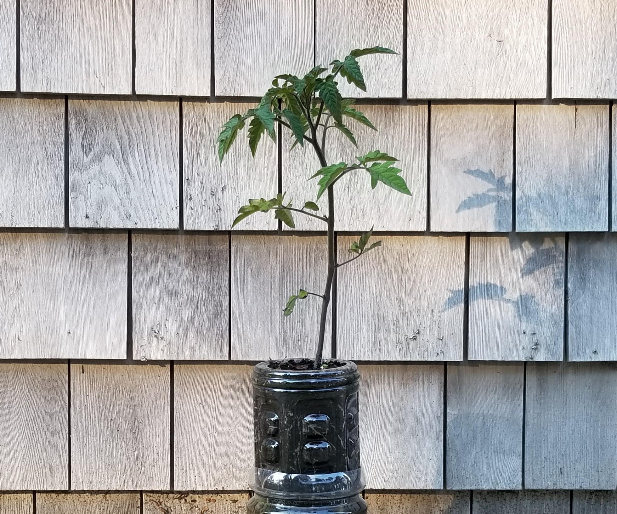 Recycled Plastic Reservoir Planter
