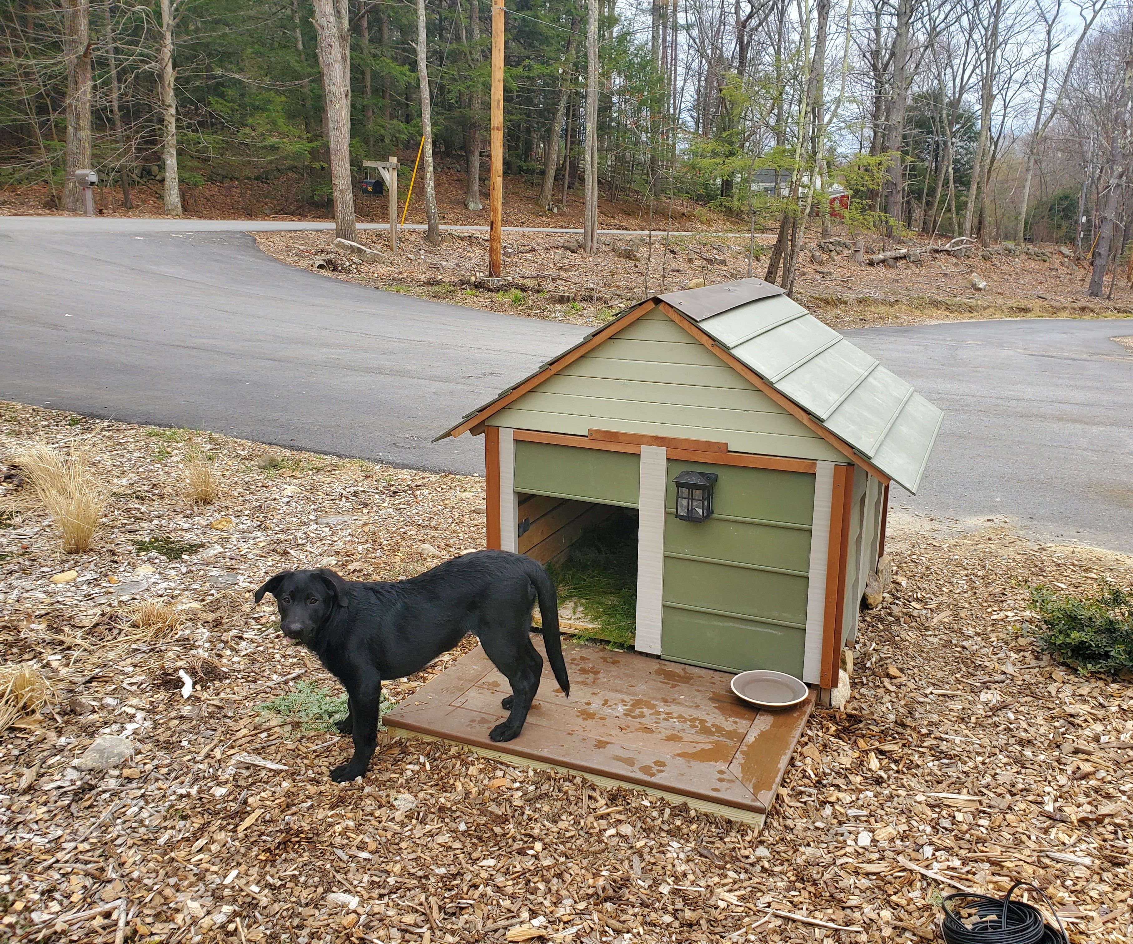 Easy Doghouse From Home Build Scraps