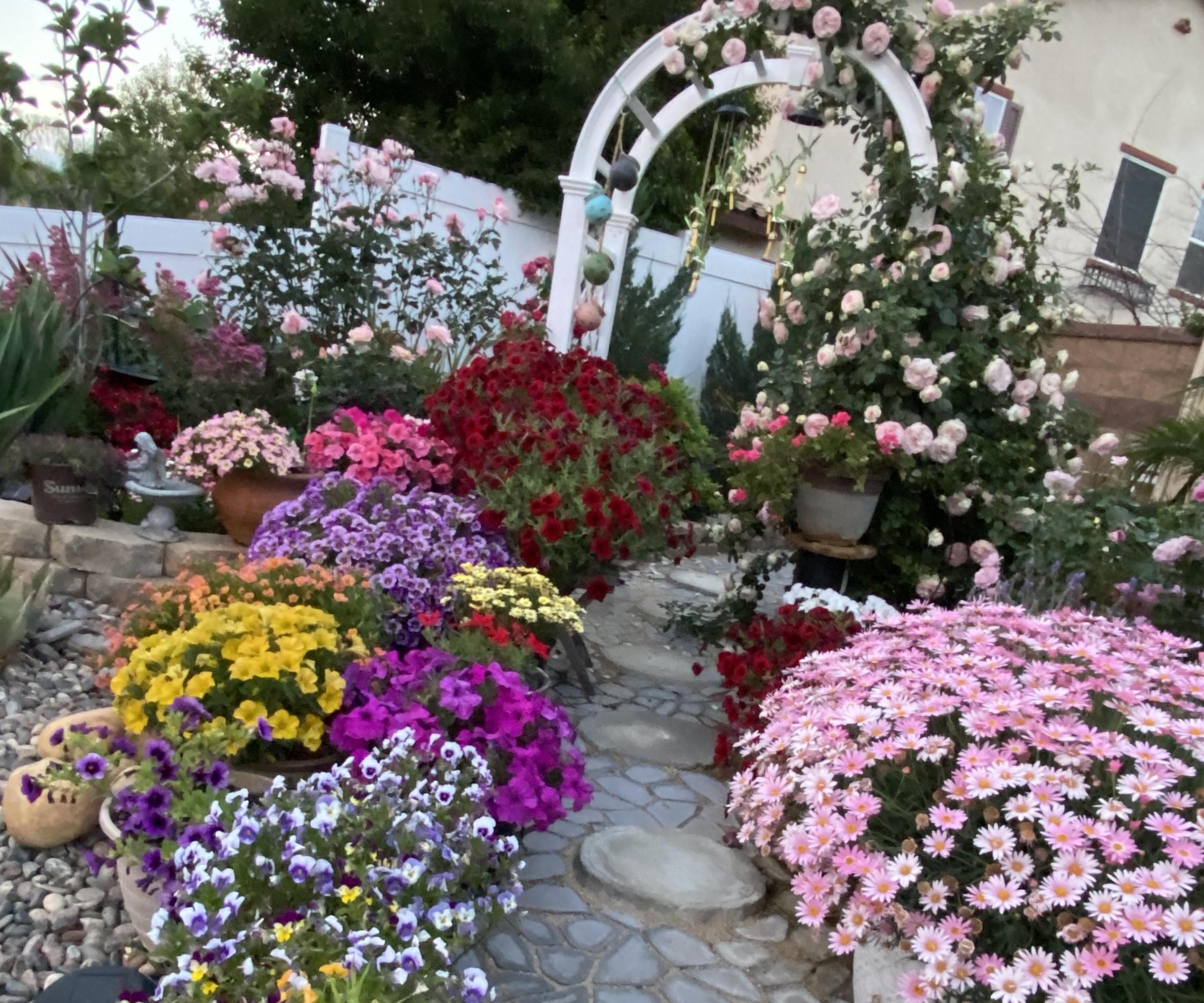 My Garden Project - Combination of Landscaping, Irrigation and Flower Arrangements